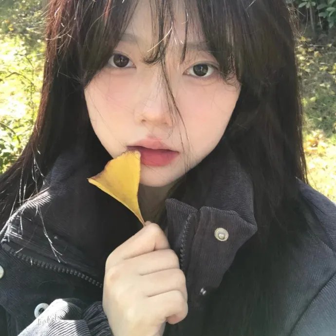 美女与猎犬